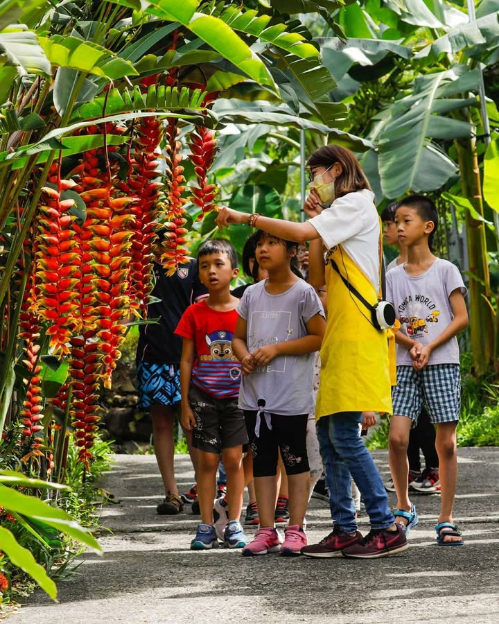 你會用左手剝香蕉嗎❓