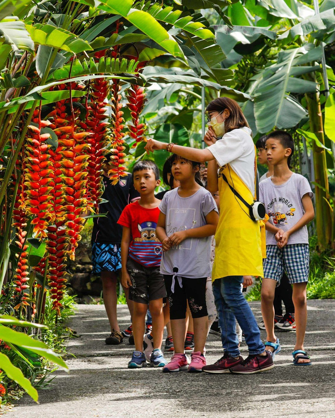 你會用左手剝香蕉嗎❓