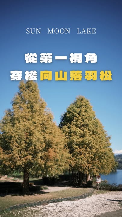 就好像坐上漂浮列車