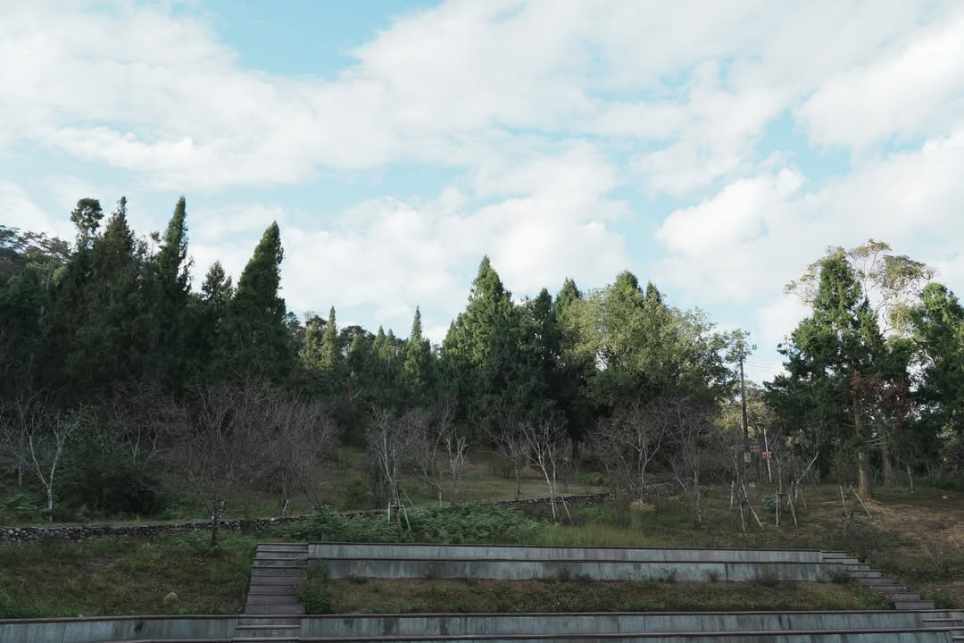 #金龍山 最出名的系列5/10