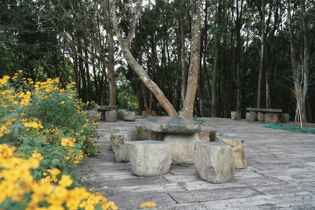 #金龍山 最出名的系列7/10