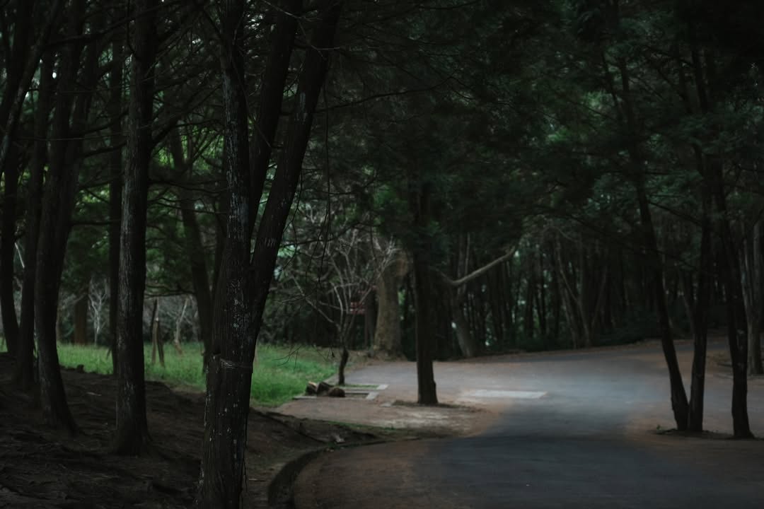 #金龍山 最出名的系列8/10