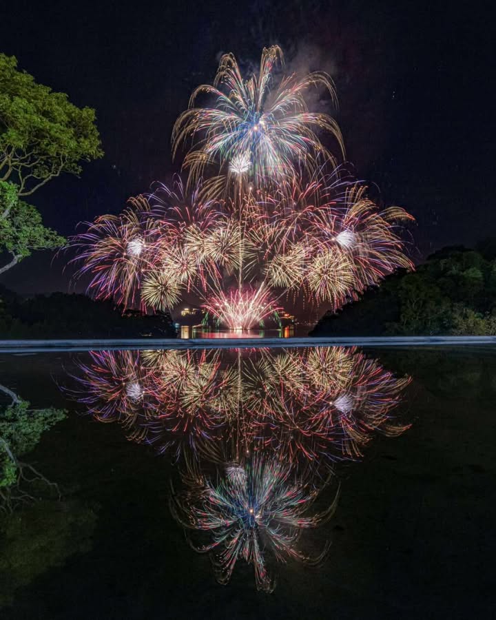 正式進入12月啦～ 一年就又要過去了