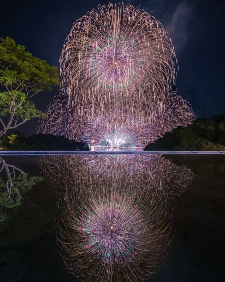 正式進入12月啦～ 一年就又要過去了系列3/4
