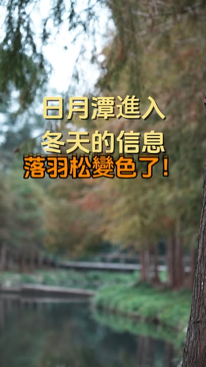 #日月潭 冬天的限定色🧡💛💚