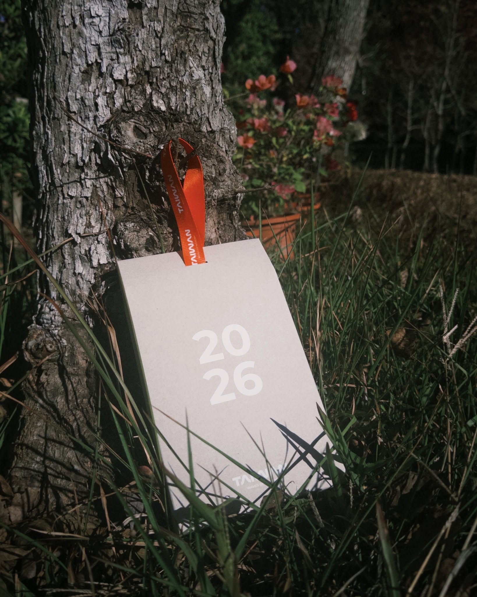 雙12.ᐟ.ᐟ 日月潭年末感謝祭