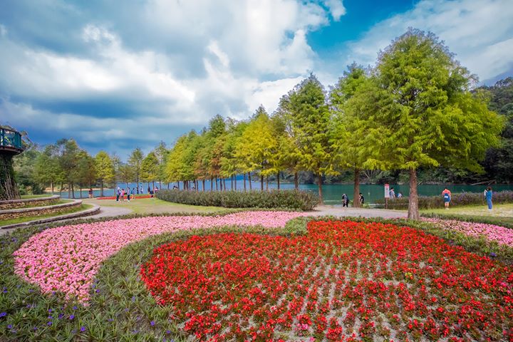 🌲🌳植樹節活動預告🌲🌳