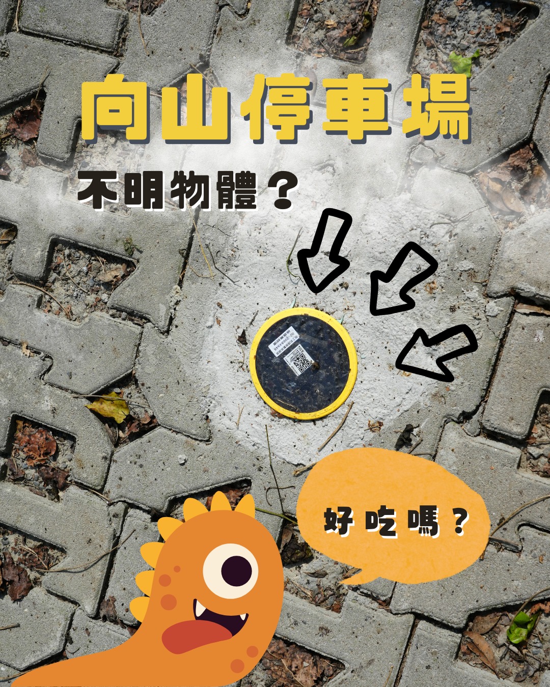 向山停車位出現不明物體